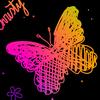 Profile Picture of Christy Knapp (@@christyknapp) on Tiktok