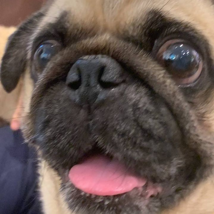 Profile Picture of Bradapong (@bradley719) on Tiktok