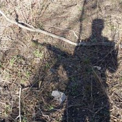 Profile Picture of Ivan Levchenko (@ivan4cooper) on Twitter