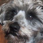 Profile Picture of Nathan Kinsella (@kinsella155) on Instagram