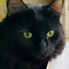 Profile Picture of Andrew Nyland (@a.l.nyland) on Tiktok