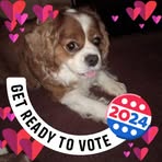 Profile Picture of Lisa Chlapowski (@Lisa-Chlapowski) on Facebook