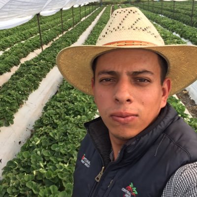 Profile Picture of Joseph Ambriz (@JosephAmbriz10) on Twitter