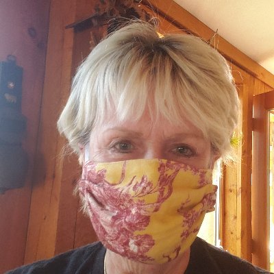 Profile Photo of Carole Palmer (@CaroleP40498038) on Twitter