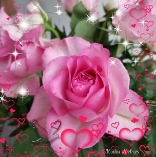 Profile Picture of Annette Carl (@annette.carl.3) on Facebook