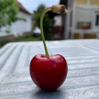 Profile Picture of Joe Brannan (@joebrannan79) on Twitter