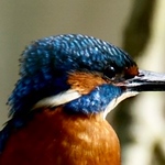 Profile Picture of Mark Wakely Photography (@mark wakely photography) on Flickr