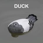 Profile Picture of Brian Hak (@Brian-Hak) on Facebook