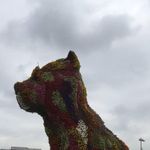 Profile Picture of Susan Starling (@starling1506) on Instagram