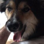 Profile Picture of David Hermans (@davidh076) on Instagram