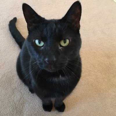 Profile Picture of Jimmy Floyd (Mr Man) (@_Jimmy_Floyd) on Twitter