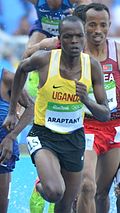Profile Picture of Jacob Araptanyon Wikipedia
