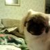 Profile Picture of Dustin Stotler (@dustin.stotler.1) on Facebook