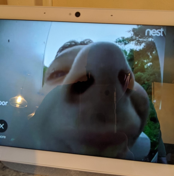 Profile Picture of Jonathan Lapalme (@jonathanlapalme) on Poshmark