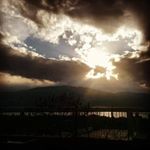 Profile Picture of Roy Johnson (@beltaran) on Instagram