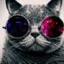 Profile Picture of Robert Chittick (@chittick1qu) on Twitter