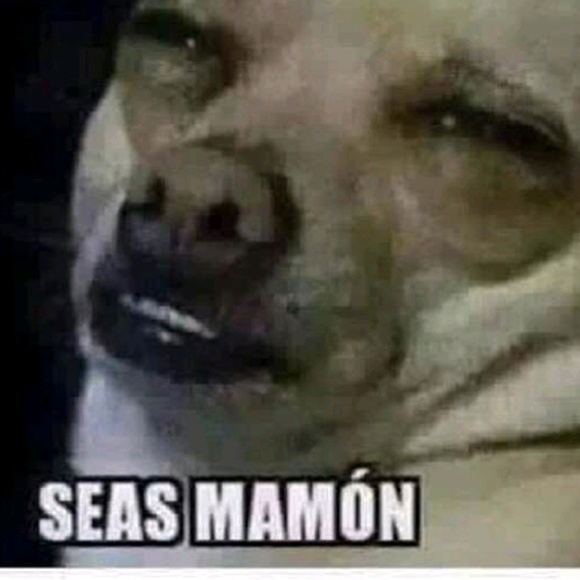 Profile Picture of Luis Guzman (@luisoscar2701) on Poshmark