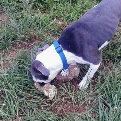 Profile Picture of Michael Baskins (@MichaelBaskins) on Twitter