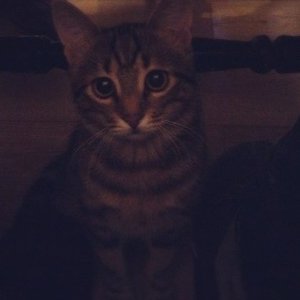 Profile Picture of Gleb (@german__porn) on Myspace