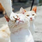 Profile Picture of Carlos Fleitas (@carlosfleitasaf) on Instagram