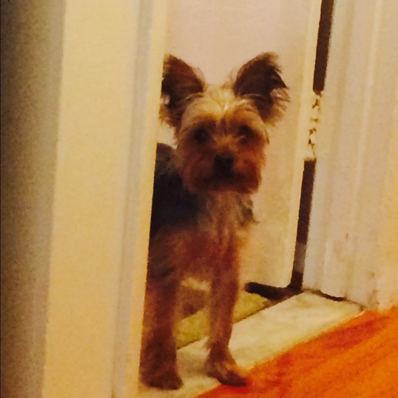 Profile Picture of Marshelle Mason (@0920) on Poshmark