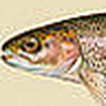 Profile Picture of Grant Hanson (@Grant Hanson) on Flickr