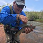 Profile Picture of Leonard Curtis (@chasin_fins) on Instagram