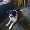 Profile Picture of Brian Blanch (@brian.blanch.397) on Facebook