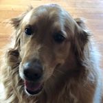 Profile Picture of Jacob Freund (@jacobfreund22) on Instagram