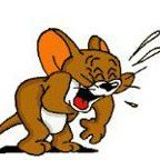 Alice Mercer - Pinterest Profile Picture of Alice Mercer (@zzlegs296) on Pinterest