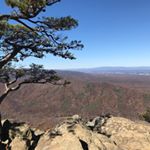 Profile Picture of Adam Kincade (@kincadeadam) on Instagram