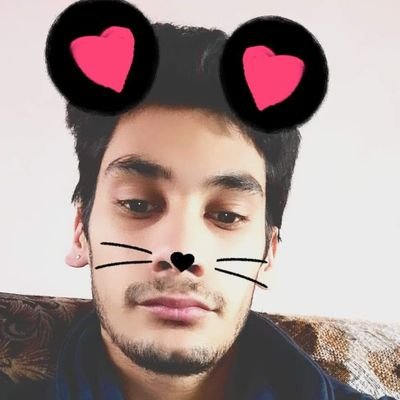 Profile Picture of Molnár Albert Arnold (@MolnrAlbertArn1) on Twitter