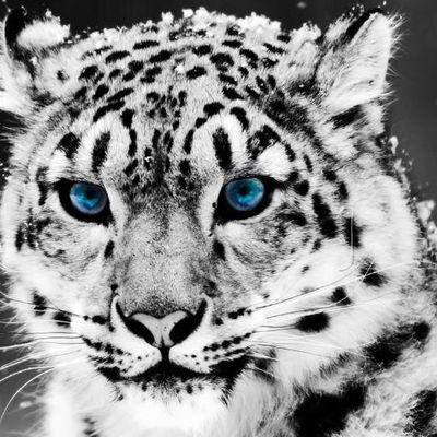 Profile Picture of James Rendon Gallon (@jamesjara22) on Twitter