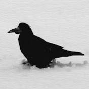 Profile Picture of Herbert Link (@herbertlink1) on Youtube