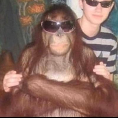 Profile Picture of Matthew Reyna (@_reyna_9) on Twitter
