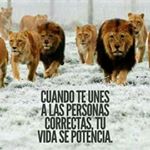 Profile Picture of Johan Quesada (@johan.quesada3) on Instagram