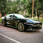 Profile Picture of Luis Serna (@pandaman8808) on Instagram