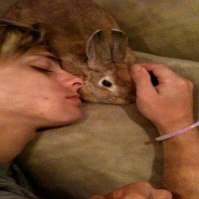 Profile Picture of Brian Maddox (@BrianMadd) on Twitter