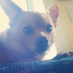 BuddyBurns - Instagram Profile Picture of BuddyBurns (@buddyburns123) on Instagram