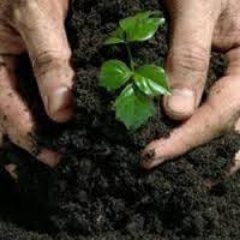 Profile Picture of Jerry Pinto (@jbfbpmanager) on Twitter