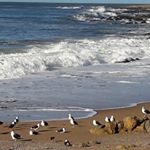 Profile Picture of Edward Fields W (@edwardfieldsw) on Instagram