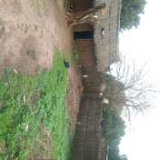 Profile Picture of Michael Musa (@michaelmusa3400) on Youtube