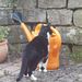 Profile Picture of Annette Wagner (@annettew1297) on Pinterest