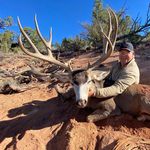 Profile Picture of Randy George (@gbargbroncsaddles) on Instagram