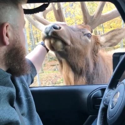 Profile Picture of Dan Greco (@DannyGrex) on Twitter