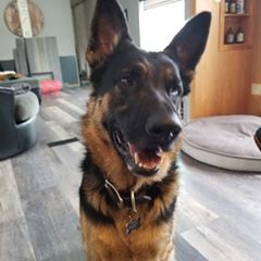 Profile Picture of Boman Keith (@bomankeith) on Tiktok