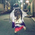 Profile Picture of kaoru (@kaaaru.o) on Instagram