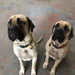 Profile Picture of Tom (@tomca.rter) on Instagram