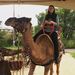 Profile Picture of Jessica Dickerson (@jclm424) on Pinterest