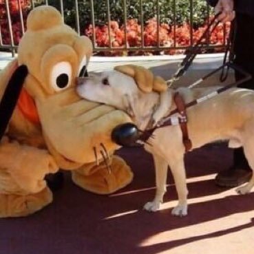 Profile Picture of Mark Albin (@hujkiokhjh) on Twitter